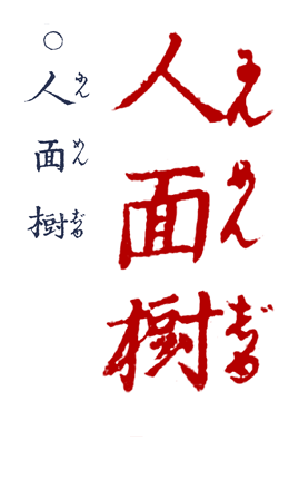 �ɂ�߂񂶂�